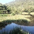 수연목장 이미지