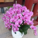 계룡산콘도텔 이미지