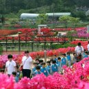 수변연가 이미지