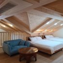 숲 펜션 이미지