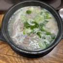 주짓수·복싱 이미지