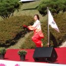 태극힐링 이미지