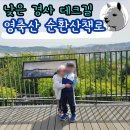영축산순환산책로(유아숲) | 서울 영축산 순환산책로 어린아이와 올라가기 좋은 낮은산 추천