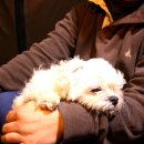 만석꾼캠핑장 이미지