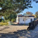 표선면사무소 이미지