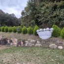 청화 노인회관 이미지