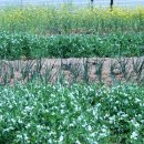 도깨비 스크린골프장 이미지