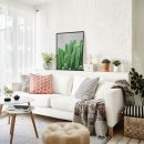 식물 인테리어 이미지