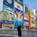 e훼미리24시편의점 | 일본 오사카 여행코스 근교 소도시 당일치기 일정 추천 경비 모음