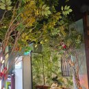 서정식당 | 왜 이제 알았지? 의정부 ‘서정반상’ 한돈삼겹살쭈꾸미 밥상 첫 방문 후기