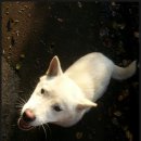 동백해비치펜션 이미지