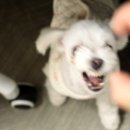 돌담캠핑장 네이버블로그
