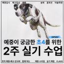 오륜초등학교 | 초등 4학년 진로 탐색, 예중 실기 체험으로 시작하세요 – 송파구 여름방학 미술 특강