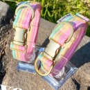 포리애견 이미지