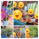 성암 농장 이미지