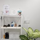 SK청솔노인복지관 2층 | 판교｜자연스러운 속눈썹펌 맛집 ::: 르에