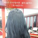에쉬헤어샾