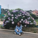 해금강보이지 이미지