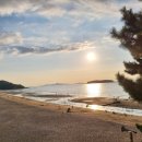 해피트리 고사포점 이미지