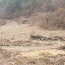 칠곡면사무소 이미지