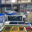 중도매인 7번 이미지