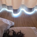 딩딩빵 - 광진구 능동로32길 51 | 리조트 담톤스위트 숙박후기 / 2일차 일정 / 비단벌레...카페유호재티룸 / 경주 체리빵 기념품 추천