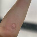 연세속편한내과의원 이미지