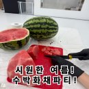 경희대수청태권도