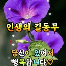 💜💜8월15일 목요일 출석 체크방💜💜 이미지