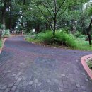 넘은들근린공원 이미지