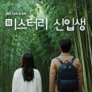 미스터리 이미지