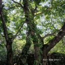 모두가 놀란 특검의 첩보 &#34;이재명 대통령 수사 검사들 전원 XX 조치&#34;.. 딱 걸린 윤석열의 스파이? 뭐길래 이미지