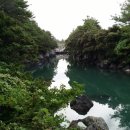 과원동로 이미지