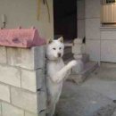 여기오개 이미지