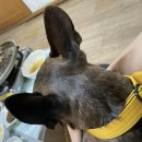 백운집식당