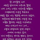 프뉴마 킥복싱, 태권도 이미지
