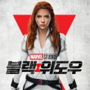 블랙위도우 이미지