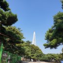 다솜 복지용구 센타 이미지