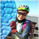 시흥대교 이미지