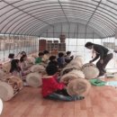 인안초등학교 이미지