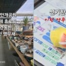 맹순이농장 이미지