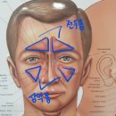 송도탑이비인후과의원 이미지