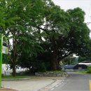 육동보건진료소 이미지