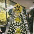 경상북도포항의료원 이미지