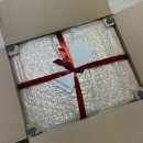 펫하우스애견 이미지