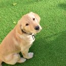 하이바이 동물위탁센터 대구점 이미지