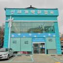 신나호텔 | 전주애견미용부터 호텔, 유치원, 용품까지 한 큐에! 신세개백화점