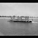 하윌라(Havilah) 이미지