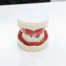 예일치과 이미지