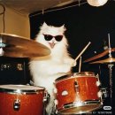 음악밴드 이미지